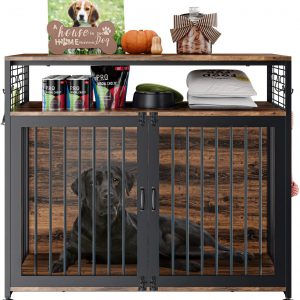 Double Door Furniture Style Dog Kennel