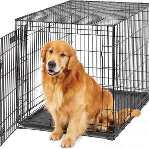 Large Folding Dog Crate